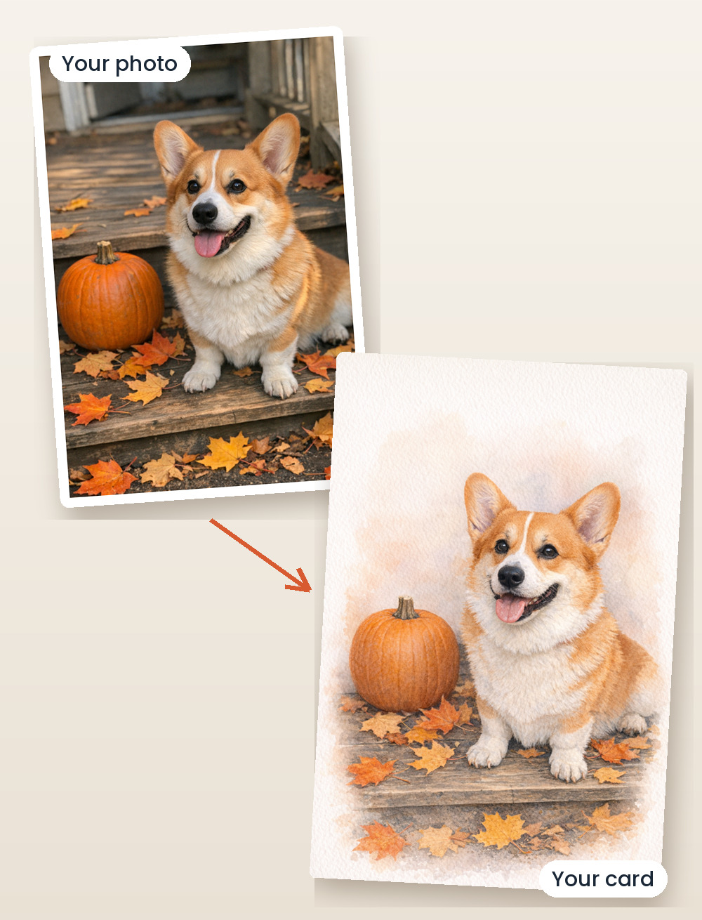 A photo of a corgi next to the illustrated card made from it